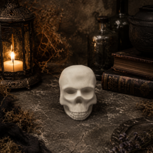 Medium Plain Skull