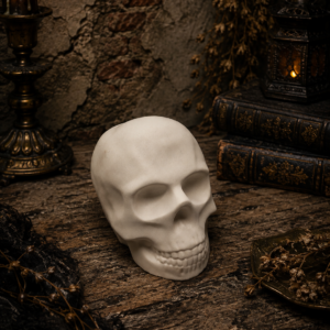 Large Plain Skull
